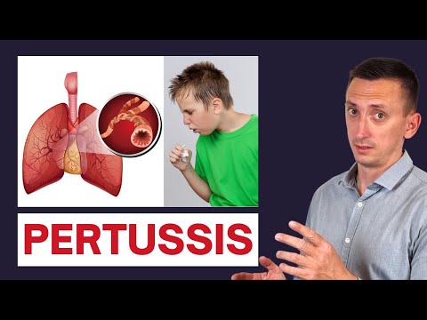 Combat Whooping Cough with Smart Antibiotic Solutions