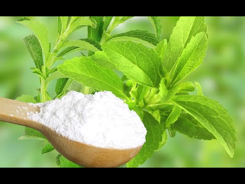 Sweet Innovations: Marketing Sugar-Free Solutions Today