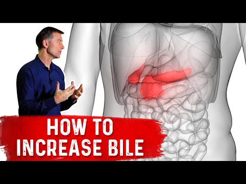 Boost Your Health with Ox Bile Innovation