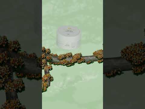 Revitalize Your Feet: Say Goodbye to Dead Skin Today