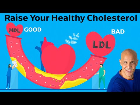 Boost Your HDL Cholesterol with Innovative Health Tech