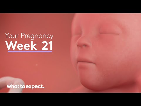 21 Weeks Pregnant: Your Journey in Months Unveiled