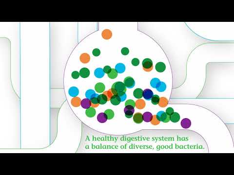 Nature's Bounty Probiotics: Elevate Your Wellness Game