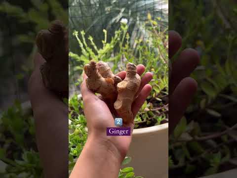 Smart Solutions for Borderline Diabetics in Today's Tech Age