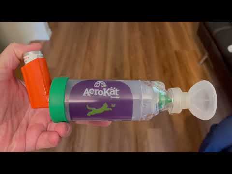Breathe Easy: Innovative Cat Inhaler for Happy Felines