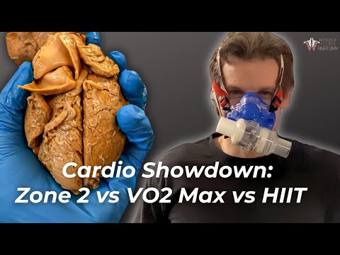 Boost Your Performance with Cardiovascular Endurance Tech