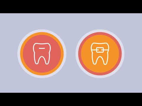 Innovative Solutions for Your Smile: GEHA Dental Insurance