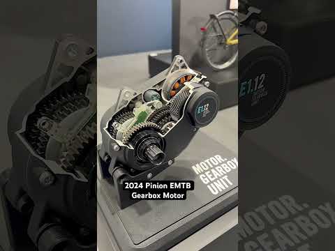 Unlocking Performance with Alpha Ketoglutarate Innovation