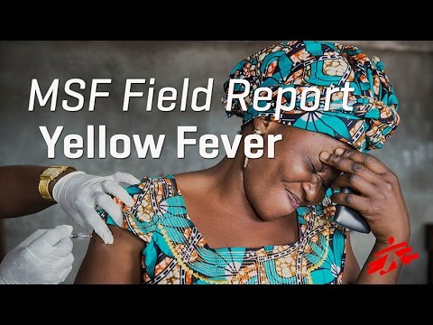 Affordable Yellow Fever Vaccine: Smart Choices for Travel