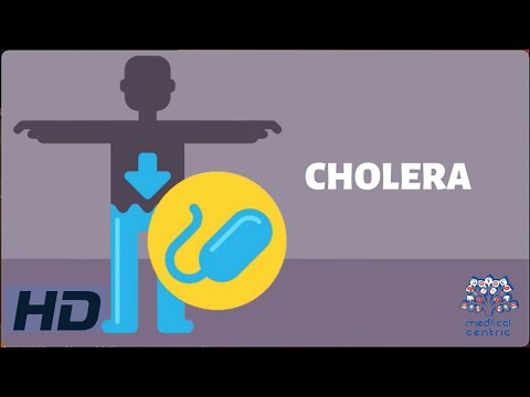Cholerae Bacteria: Innovations in Prevention and Treatment