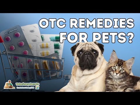Loratadine for Dogs: Relief from Allergies and Itching Loratadine for Dogs: Relief from Allergies and Itching