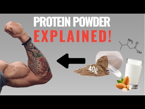 Fuel Your Gains: The Power of Post-Workout Protein Powder