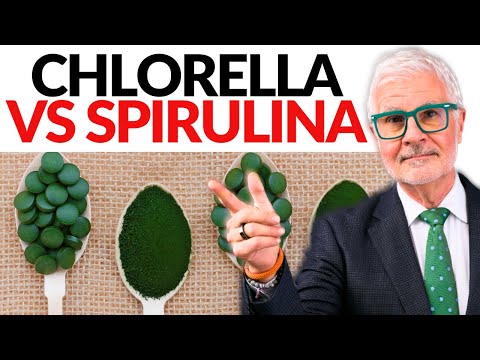 Boost Your Health with Tech-Driven Blue Spirulina Powder