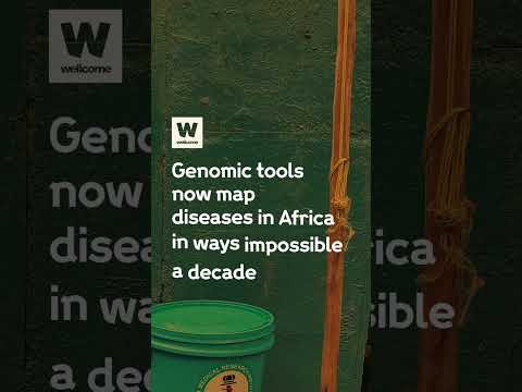 Revolutionizing Cholera Treatment with Innovative Solutions