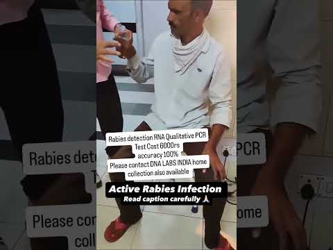 Protect Your Pup: Innovative Solutions Against Rabies