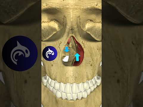 Affordable Septoplasty: Transform Your Breathing Today