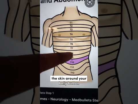 Navigating the Mystery of Pain Right of Belly Button
