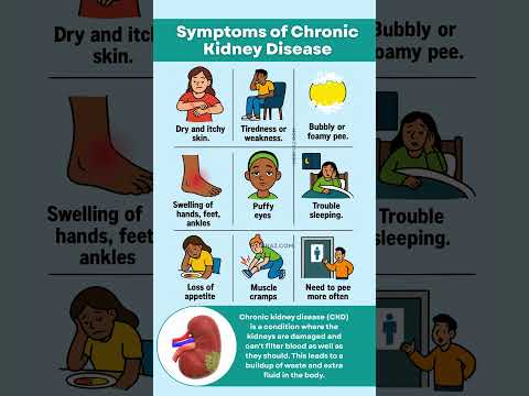 Rash Signals: Understanding Kidney Disease and Its Effects
