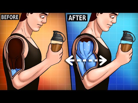 Elevate Your Fitness with Gold Standard Protein Technology