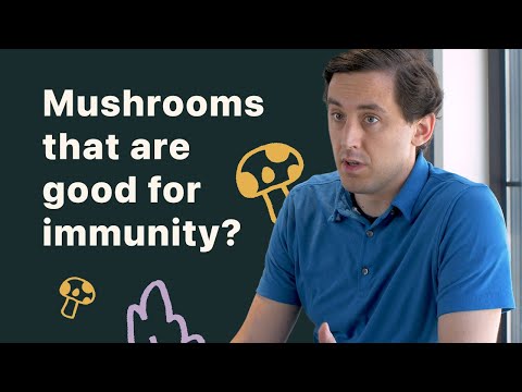 Mushroom Complex for Vitality and Wellness Boost