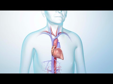 Beat Heart Failure Cough with Smart Health Solutions