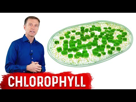 Chlorophyll Supplements: Boost Your Health with Nature's Power