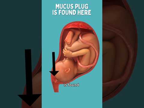 Understanding Mucus Discharge in Pregnancy: Insights & Innovations
