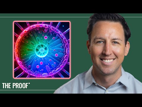 Boost Your Gut Health: Probiotics and Antibiotics Unite