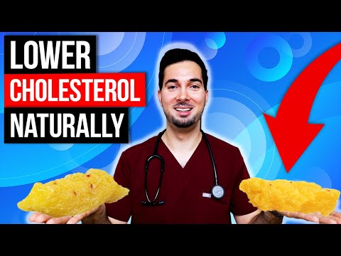 Smart Solutions for Optimal Cholesterol Health