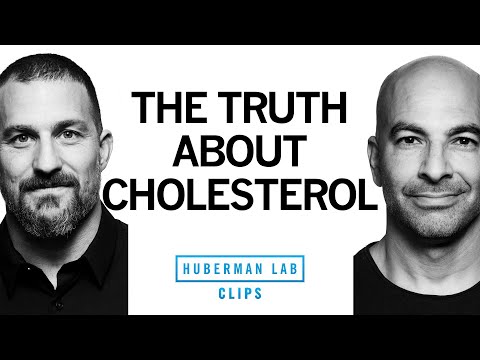 Unlocking the Hidden Dangers of High LDL Foods Today