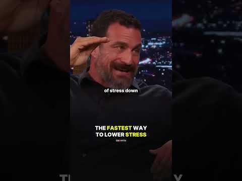 Breathe Easy: Tech Solutions for Stress Relief Today