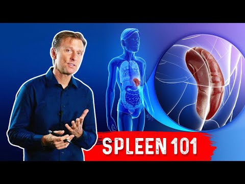 Understanding Enlarged Liver and Spleen for Better Health Outcomes