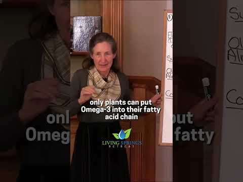 Flaxseed Nutrition Unleashed: The Tech Behind Health Trends