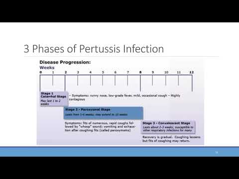 Unlocking Health: The Future of Pertussis Testing Technology