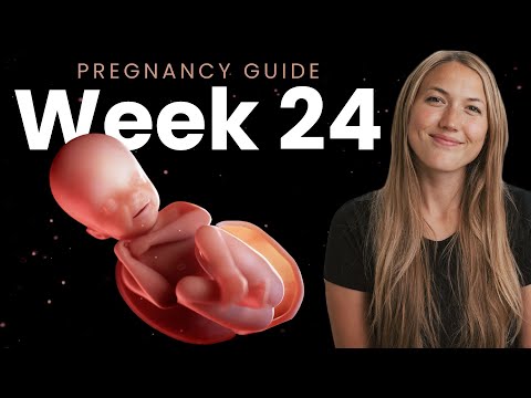 Digital Insights on the 24 Week Fetus Journey