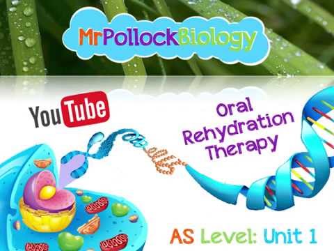 Rehydrate and Recover: Oral Therapy for Cholera Relief