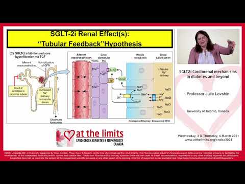 Unlocking Health: SGLT2i's Role in Diabetes Management