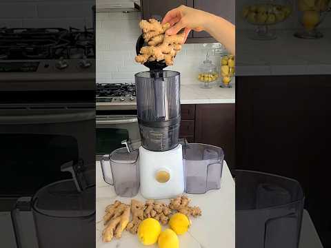 Ginger Extract Revolutionizing Wellness and Tech Benefits