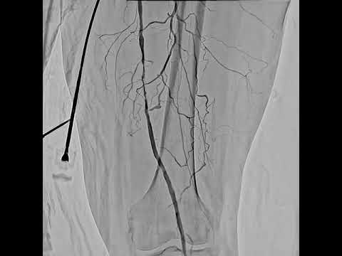 Next-Gen Imaging Solutions at CMS Diagnostic Services