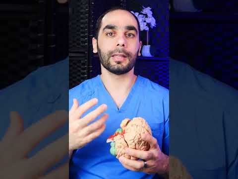 Seizure Spectrum: Understanding Varieties and Innovations