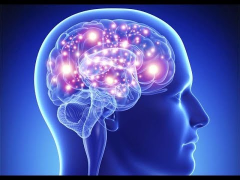 Boost Your Mind with Onnit Alpha Brain Technology