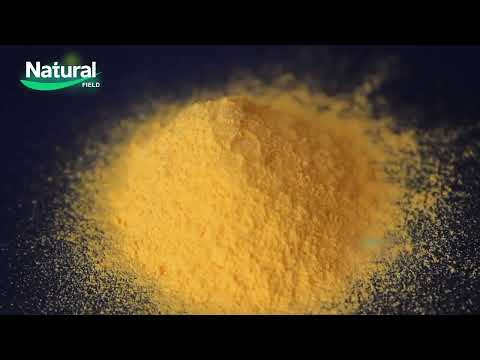 Unlocking Wellness: The Power of Turmeric Extract Technology