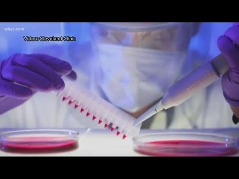 Medallus Medical: Innovations Shaping Future Healthcare