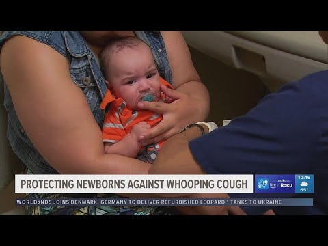 Protecting Newborns: The Power of the Whooping Cough Vaccine