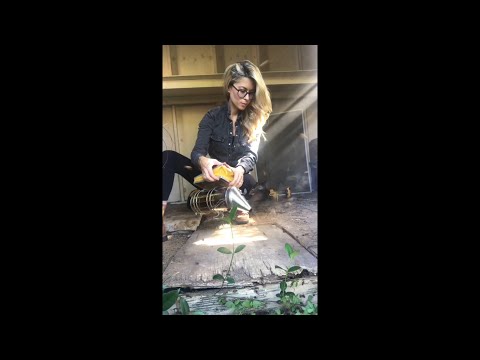 Buzzing Innovation: Hives on Back for Smart Tech Solutions