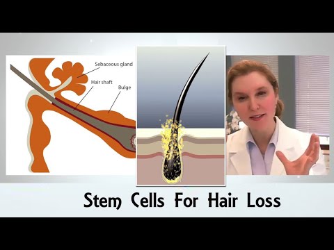Revitalize Your Hair with Cutting-Edge Stem Cell Treatment