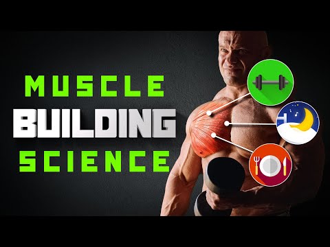 Transform Your Body with the Ultimate Muscle Building Plan