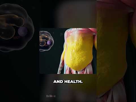 Top Fat Burners for Women Unveiling the Latest Tech Trends