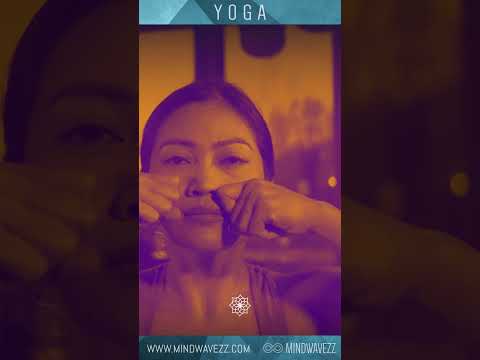 Evolve Yoga: Transforming Wellness with Innovation and Tech