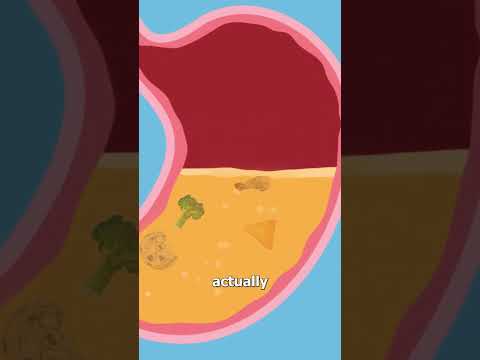 Conquer Gurgles and Runs with Smart Health Solutions